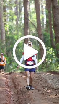 BIB:  <button type="button" onclick="openModal(26569693)" class="btn btn-primary btn-sm float-right" data-toggle="modal" data-target=".modal-high-quality">
                <i class="fa fa-download"></i> Download
                </button>